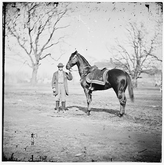 General Grant's Horse, Cincinnati (Library of Congress)